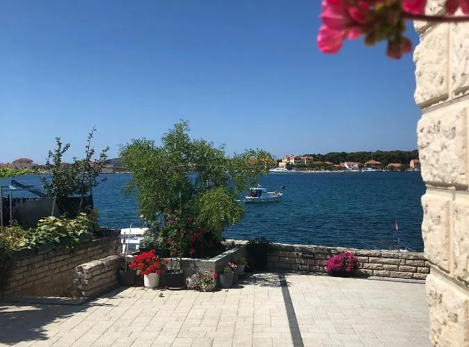 Nevena بروداريكا